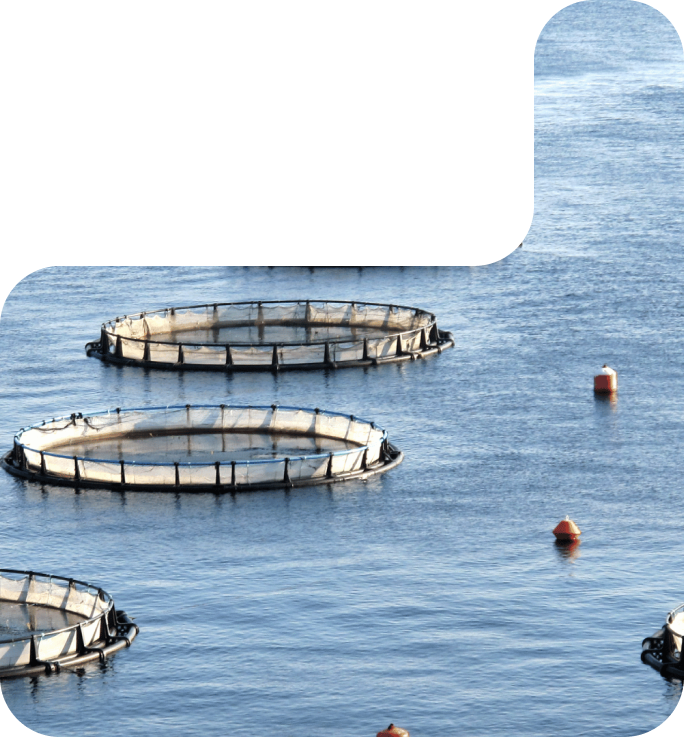 Water Innovation Image